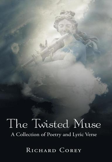 bokomslag Twisted Muse