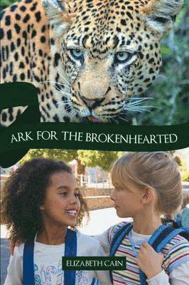 bokomslag Ark for the Brokenhearted