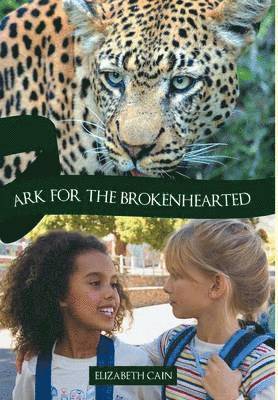 Ark for the Brokenhearted 1