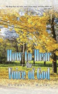 bokomslag How to Hear the Voice of God
