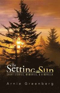 bokomslag The Setting Sun