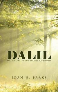 bokomslag Dalil