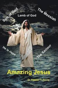 bokomslag Amazing Jesus
