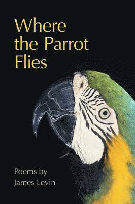 Where the Parrot Flies 1