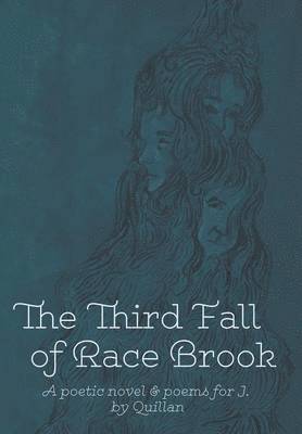 bokomslag The Third Fall of Race Brook