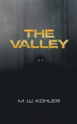 The Valley 1