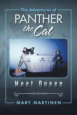bokomslag Adventures of Panther the Cat