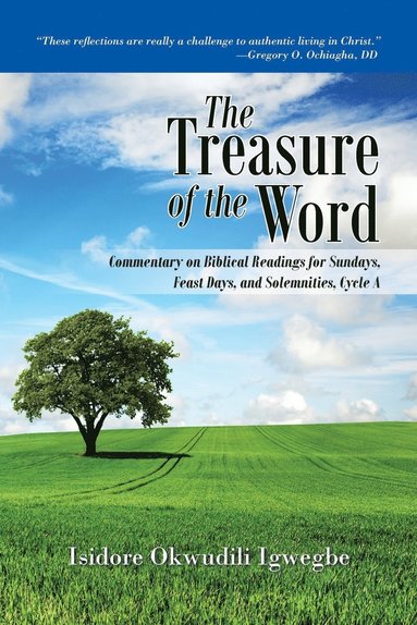 bokomslag Treasure of the Word