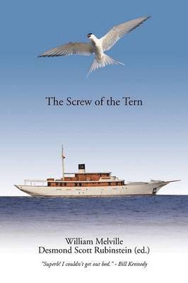 bokomslag Screw of the Tern