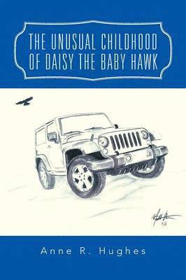 bokomslag Unusual Childhood of Daisy the Baby Hawk