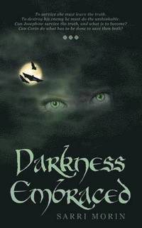 bokomslag Darkness Embraced