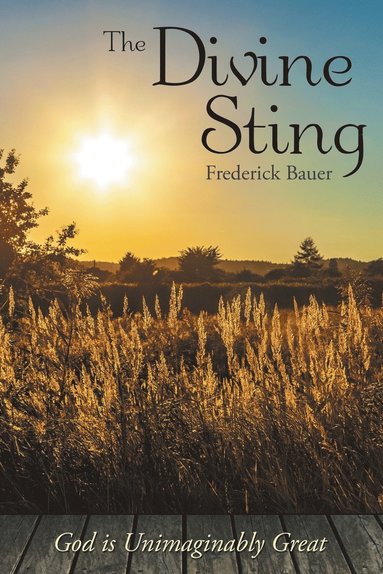 Frederick Bauer - Divine Sting, Häftad