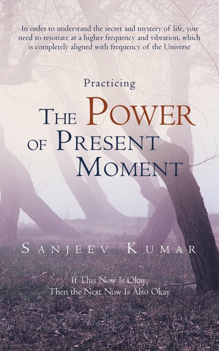 Sanjeev Kumar - Practicing the Power of Present Moment, Häftad