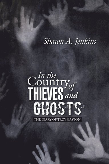 bokomslag In the Country of Thieves and Ghosts