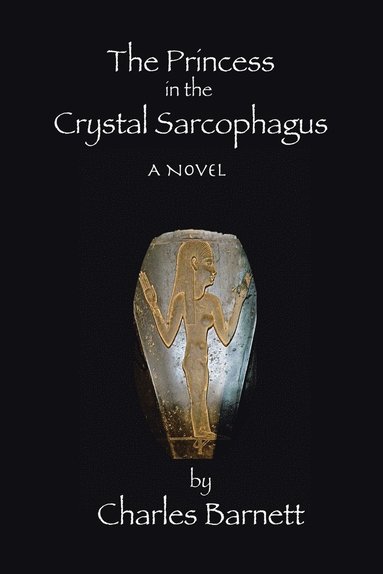 bokomslag The Princess in the Crystal Sarcophagus