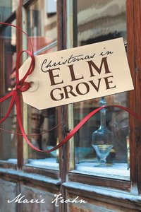bokomslag Christmas in Elm Grove