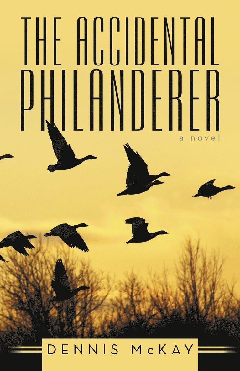 The Accidental Philanderer 1