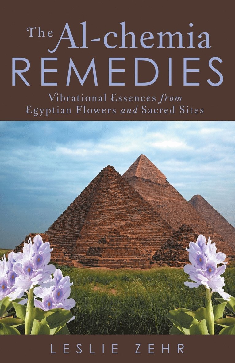 Leslie Zehr - Al-chemia Remedies, Häftad