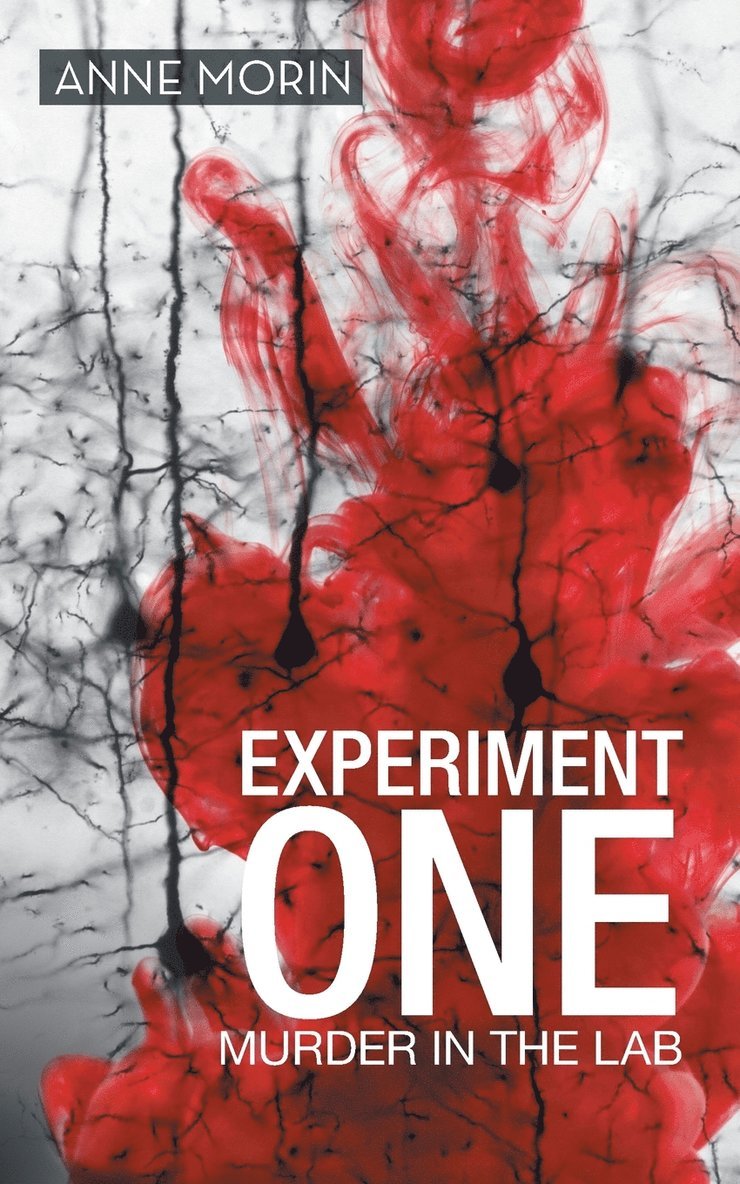 Experiment One 1