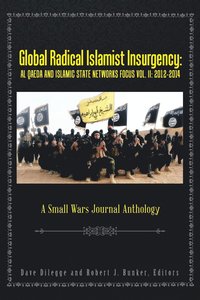 bokomslag Global Radical Islamist Insurgency