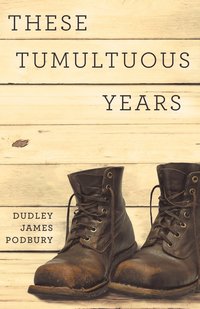 bokomslag These Tumultuous Years