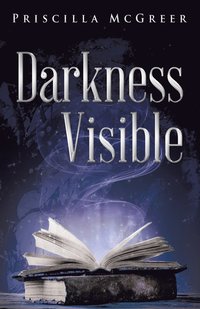 bokomslag Darkness Visible