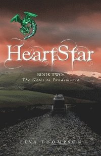 bokomslag HeartStar