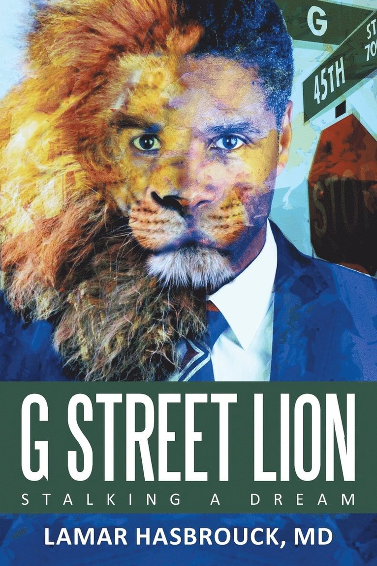 G Street Lion 1