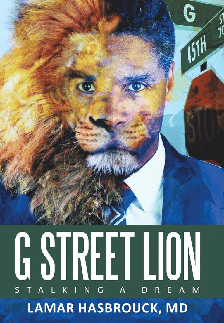 G Street Lion 1