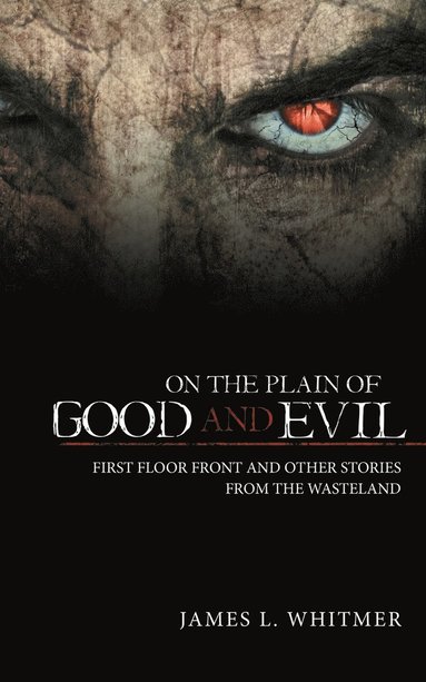 bokomslag On the Plain of Good and Evil