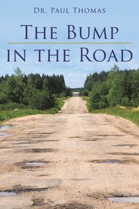 bokomslag Bump in the Road