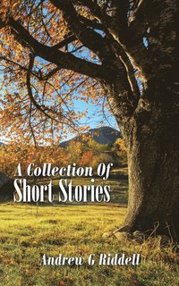 bokomslag A Collection Of Short Stories