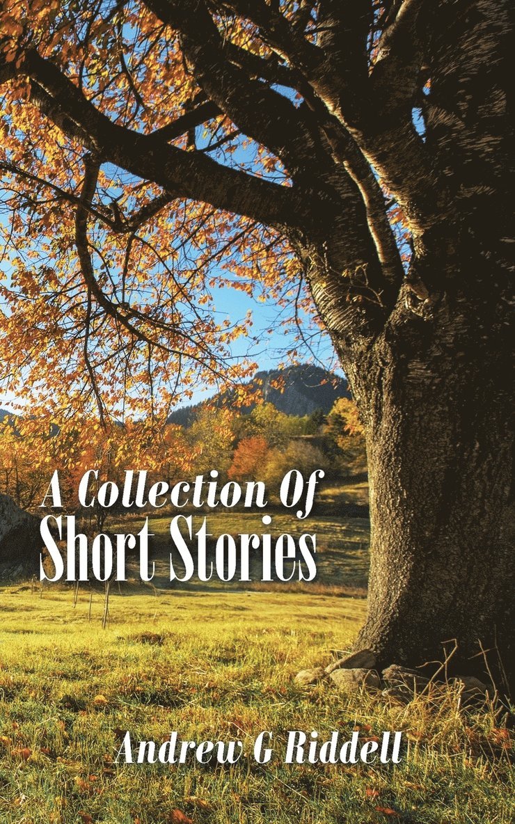 A Collection Of Short Stories 1