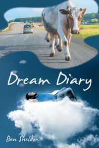 bokomslag Dream Diary