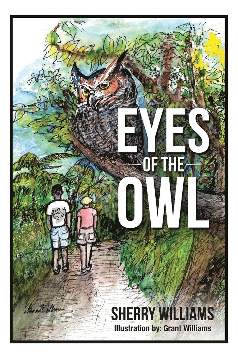 Eyes of the Owl 1