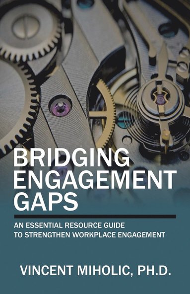 bokomslag Bridging Engagement Gaps