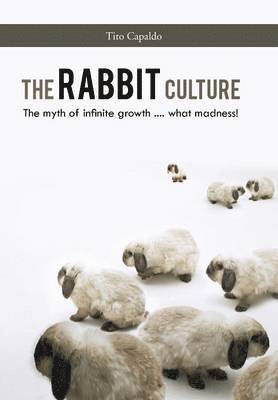 The Rabbit Culture 1