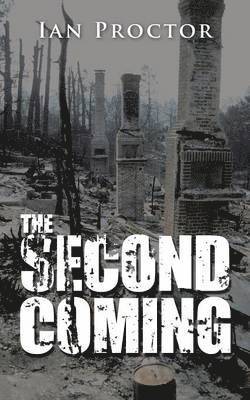 bokomslag Second Coming