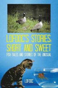 bokomslag Lofdoc's Stories