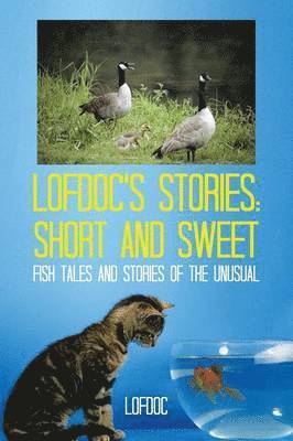 Lofdoc's Stories 1