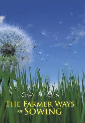 Farmer Ways of Sowing 1