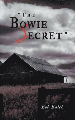 The Bowie Secret 1