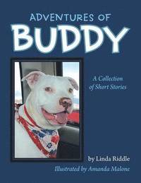 bokomslag Adventures of Buddy