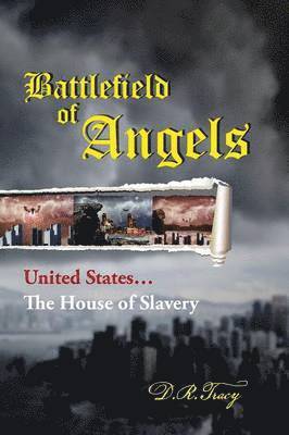 bokomslag Battlefield of Angels