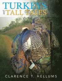 bokomslag Turkeys and Tall Tales