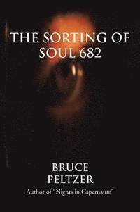 bokomslag The Sorting of Soul 682