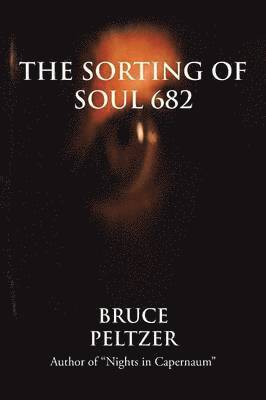 bokomslag Sorting of Soul 682