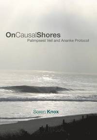 bokomslag On Causal Shores