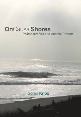 bokomslag On Causal Shores