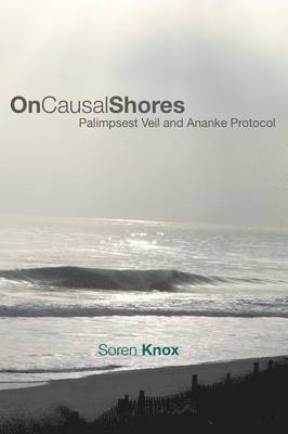 On Causal Shores 1